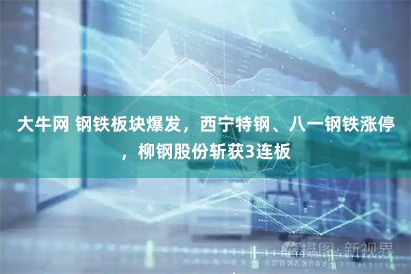 大牛网 钢铁板块爆发，西宁特钢、八一钢铁涨停，柳钢股份斩获3连板