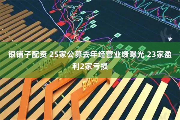 银铺子配资 25家公募去年经营业绩曝光 23家盈利2家亏损